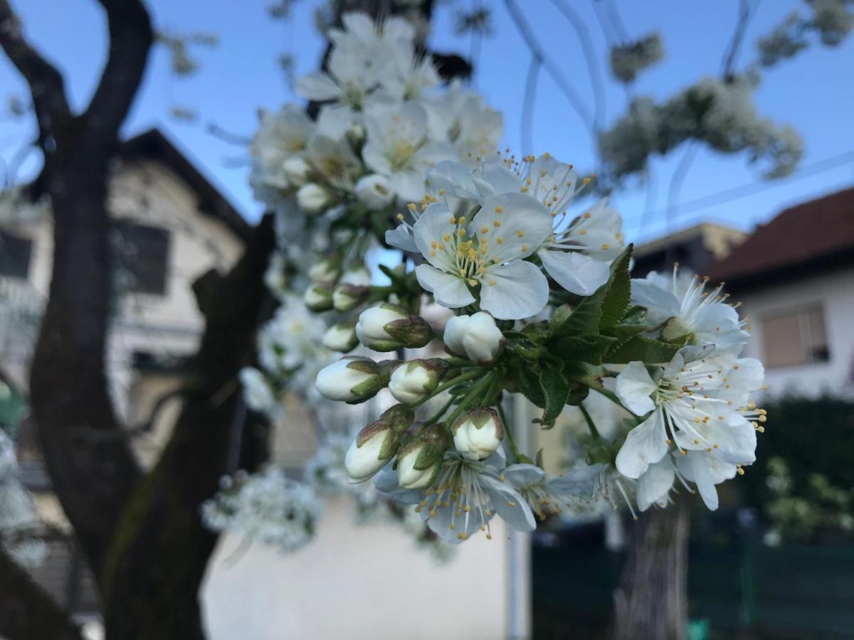 Apartman Katarina Zagabria Esterno foto
