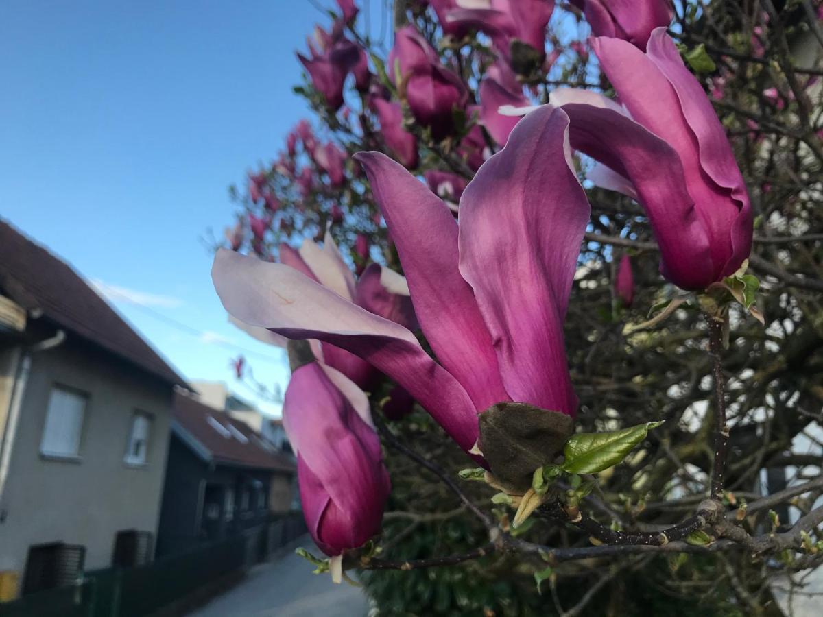 Apartman Katarina Zagabria Esterno foto
