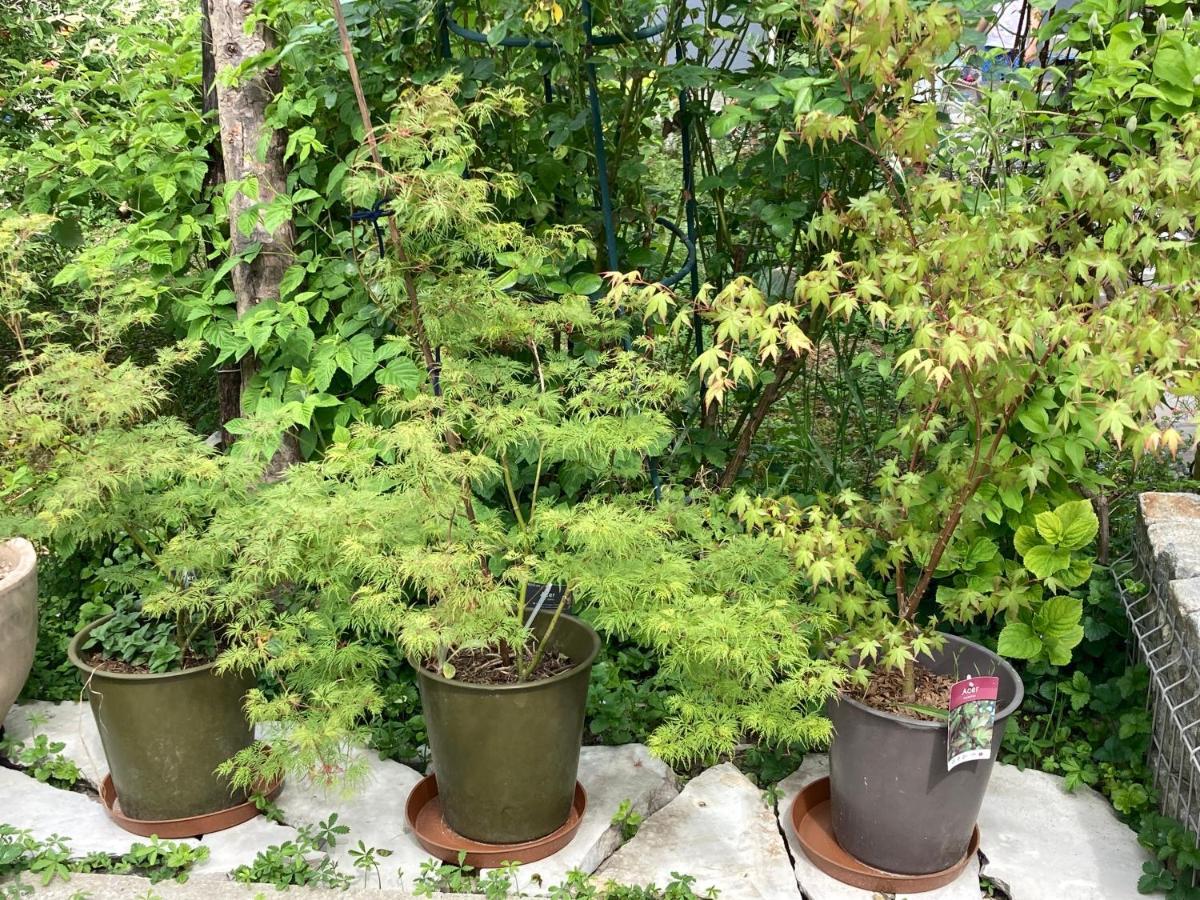 Apartman Katarina Zagabria Esterno foto
